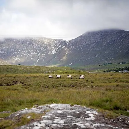 Ben Lettery Galway